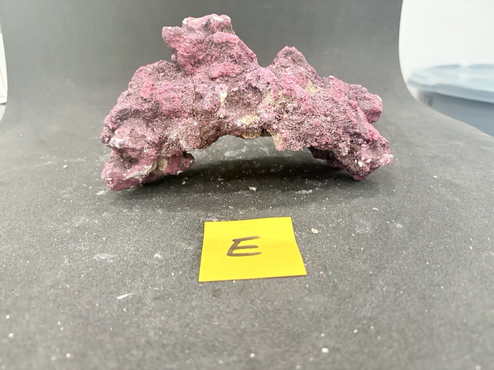 CaribSea Life Rock Cave