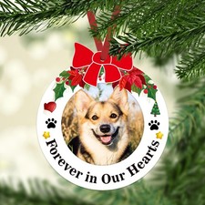 JUESMOS Dog Picture Frame Memorial Christmas Ornaments 2025 Silver Or Gold