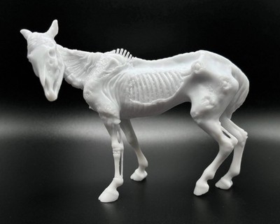 2016 Lazarus Halloween-Style Model Horse Zombie Stallion