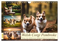 Claudia Kleemann | Welsh Corgi Pembroke (Wandkalender 2026 Din A4 Quer),...