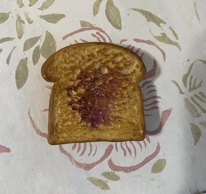VTG Vanderbilt Toast & Jam Realistic Food Refrigerator Magnet Rubber Rare