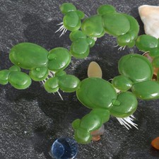 90 Pcs Water Plants Artificial Duckweed Aquarium Decor Aquatic Fake