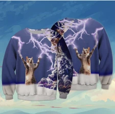 Funny Thunder Lightning Storm Kitty Kitten Cat Animal Sweatshirt