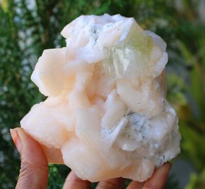 Green Apophyllite Crystals w/ Stilbite On Coral Minerals Specimen #M5