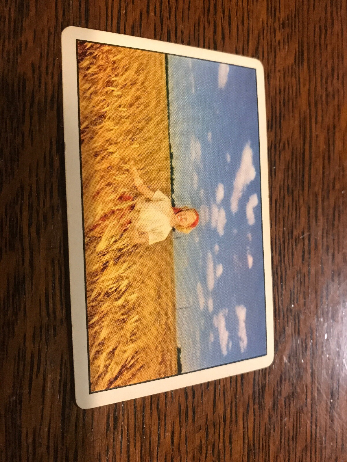 Picture 2 of 2