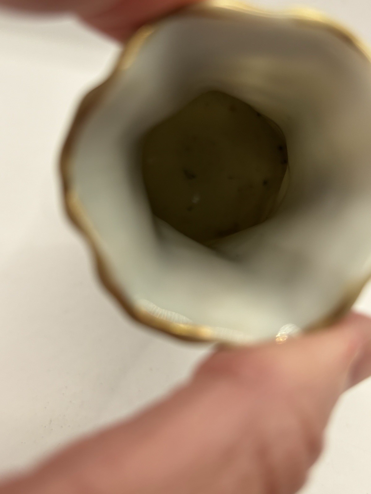 Picture 6 of 6