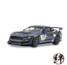 Tamiya 24354 Ford 1/24 Mustang GT4 plastic model