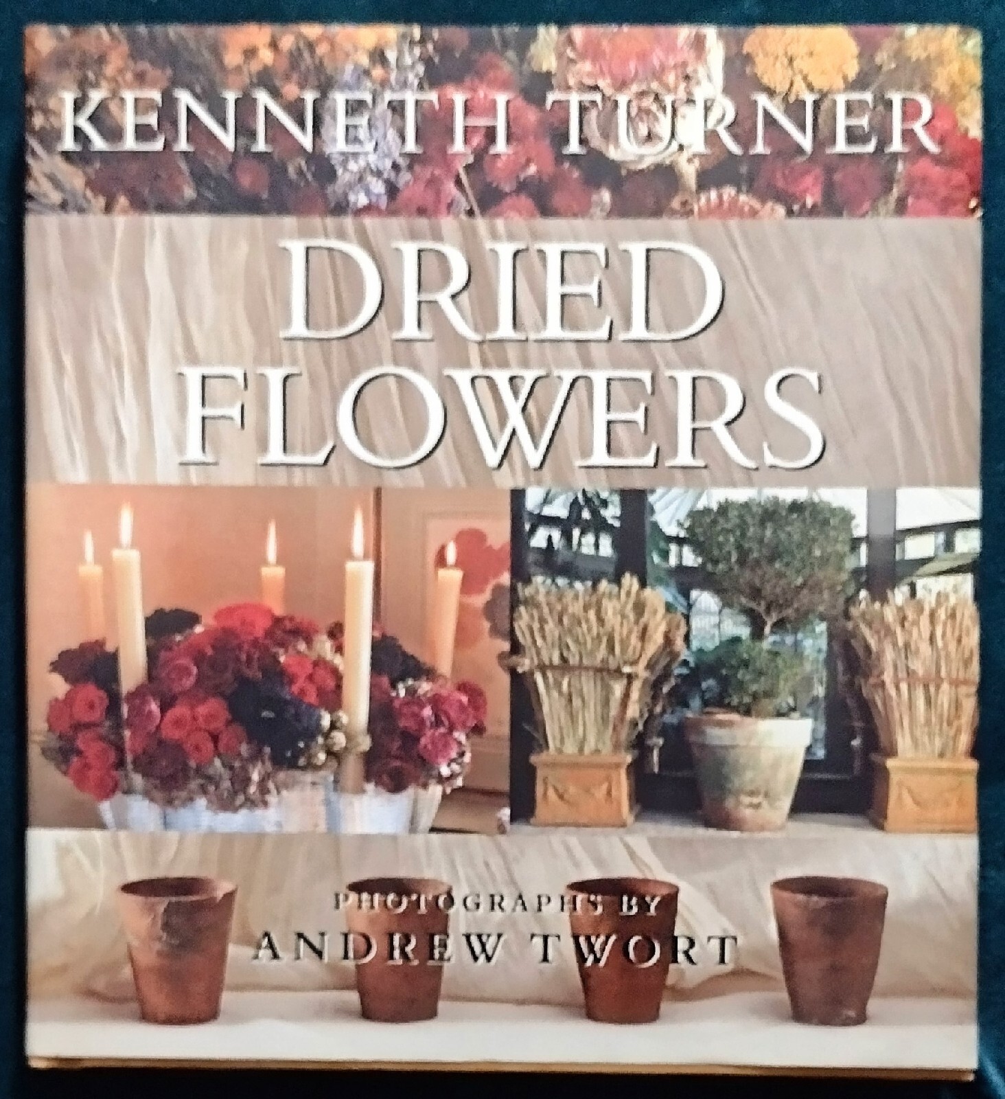 Dried Flowers by Kenneth Turner (1998, Hardcover)-image