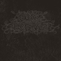 Boris With Merzbow - - Silver Vinyl 1 X 12 Vinyl Album Release Dat - G1398Z
