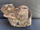 Picture 6 of 6