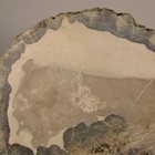 Bild 8 von 12