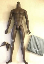 HOMME MALE BODY FROM MANHATTAN STATE OF MIND DARIUS 12" INTEGRITY TOYS DOLL 