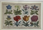 Afbeelding 3 van 15