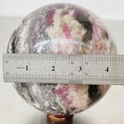 Bild 12 von 12