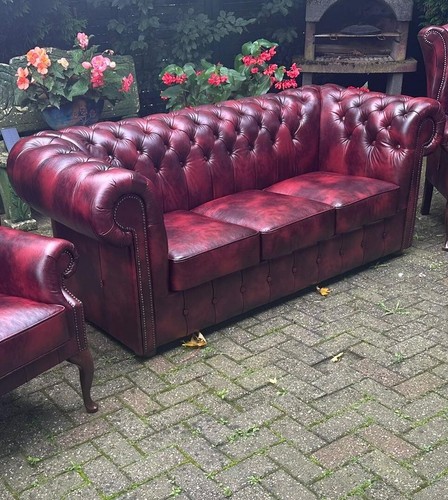 Chesterfield Claridge 3 Sitz Luxus Rinder Narben leder Sofa Luxus Echt leder - Bild 16 von 24