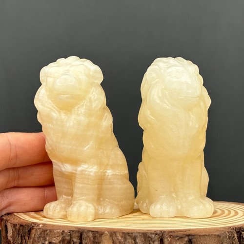 3" Natural Calcite Lion Skull carved Quartz Crystal Skull Animal Figurine 1pc - Picture 9 of 9