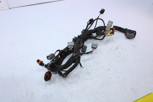 Can-Am engine wiring harness 420266782 - photo 4