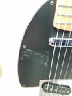 Picture 5 of 18