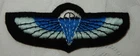 WW2 GENUINE SAS SPECIAL AIR SERVCE MILITARY JUMP WINGS BADGE PATCH WORLD WAR II