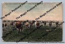 Cuddeback Ranch Dairy Cattle EL CENTRO California SPRR Hand Colored Seeley Cover
