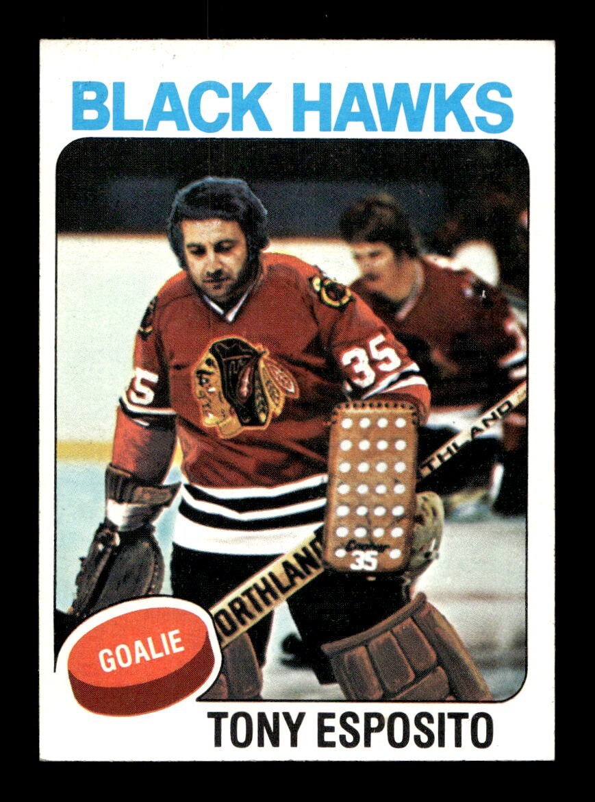 1975 76 Topps #240 Tony Esposito Blackhawks NEAR MINT *y6