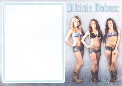 2014 Fireball Cinnamon Whiskey Bikini Babes photo card
