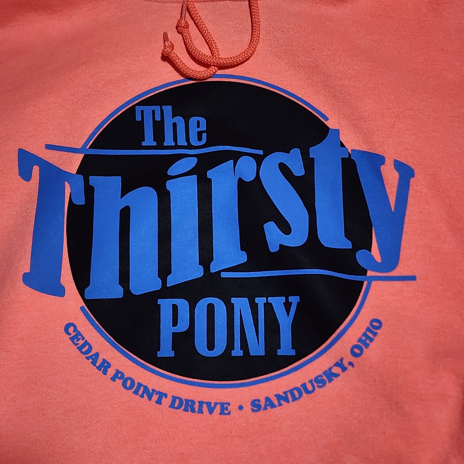 Felpa con cappuccio vintage Cedar Point Thirsty Pony pullover media piccola RARA