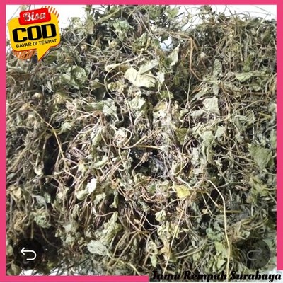 Gotu Kola Leaves (Pegagan) Dried 1kg Culinary Heritage Artisan Quality Legacy