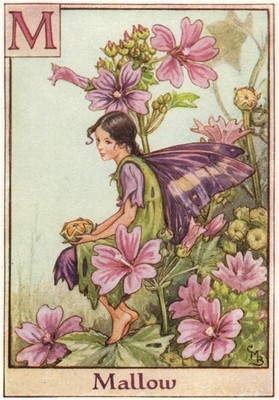 M = Mallow Fairy by Cicely Mary Barker. Alphabet Flower Fairies