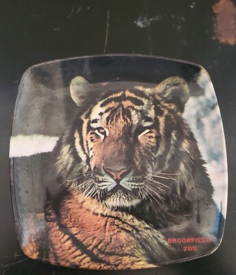 Vintgage Brookfield Zoo Tiger Souvenir Mini Plate