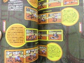 FIGHTING VIPERS Biting the Vipers 2 Guide Sega Saturn Book 1996 AP7x