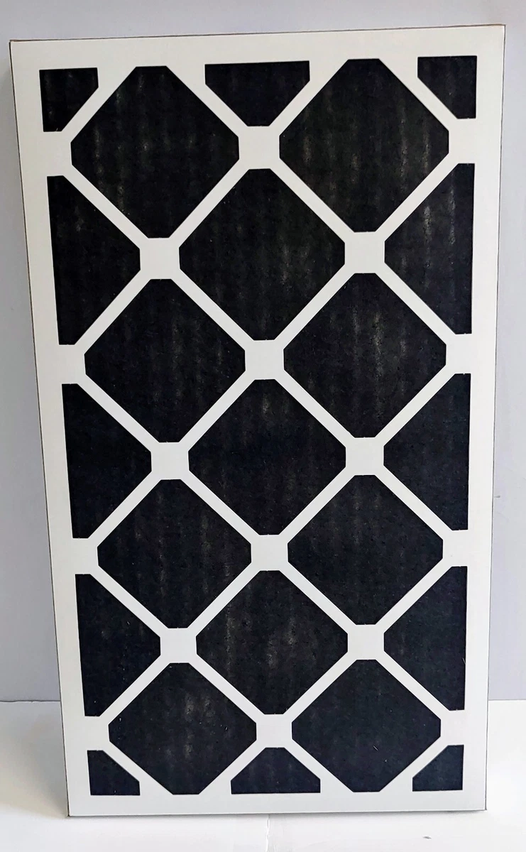Nordic Pure 14x24x1 MERV 14 Pleated Plus Carbon AC Furnace Air