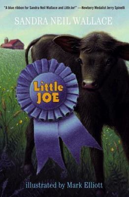 Little Joe - Sandra Neil Wallace, 9780375854507, paperback