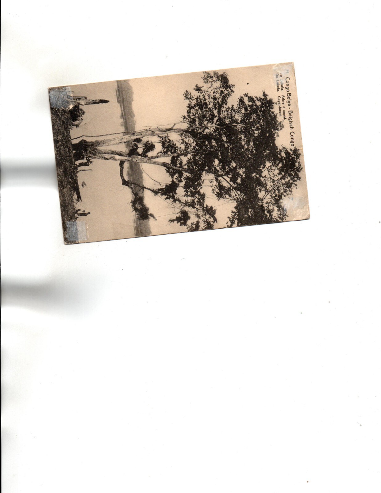 Picture 2 of 2