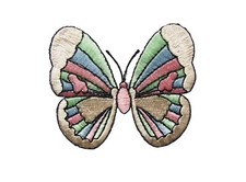  4046 Pink,Green,Blue Butterfly Embroidery Iron On Applique Patch