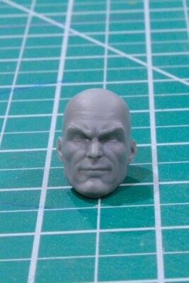 Custom Resin Baldy head cast 7in. scale 1:10 McFarlane Luthor 