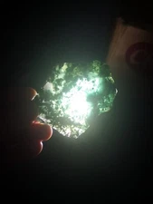 Moss Agate High quality natural slab New Zealand Mineral lapidary carving