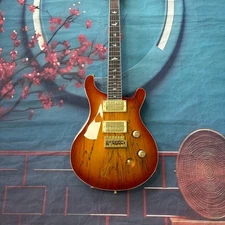 New Sunburst prs  Electric Guitar Bird Inlay Mahogany Body