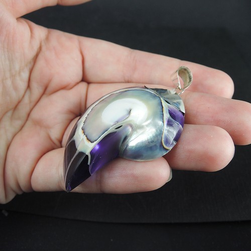925 Sterling Silver Large Size Purple Nautilus Shell Pendant Jewelry, NSP-427 - Picture 5 of 7