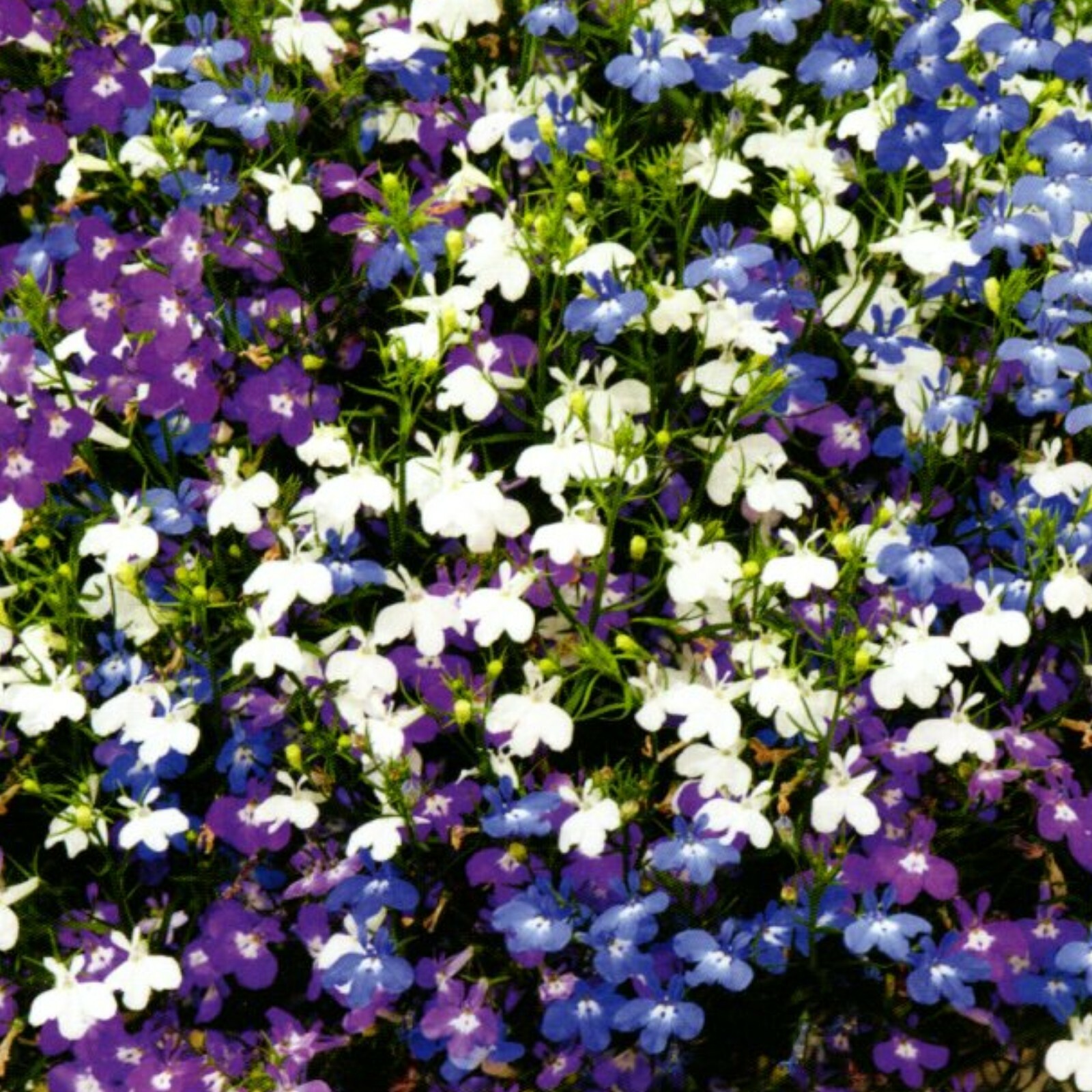 Bild 33 von 83