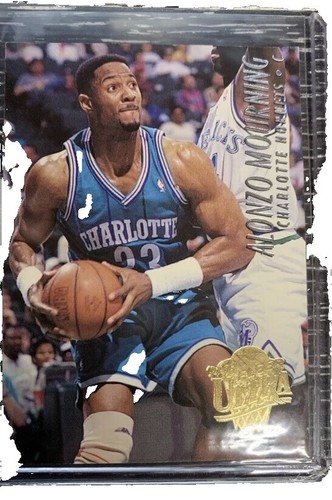 Vintage Champion Charlotte Hornets Alonzo Mourning Jersey | eBay