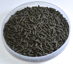 Premium Algae - Eating Fish Food Sticks Malawi Cichlids 