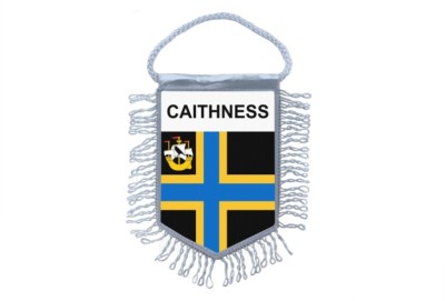 Mn banner flag pennant wndow mrror cars country banner argentna la