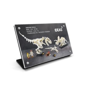#21320 Dinosaur Fossils - Li'l Wider Display Plaques