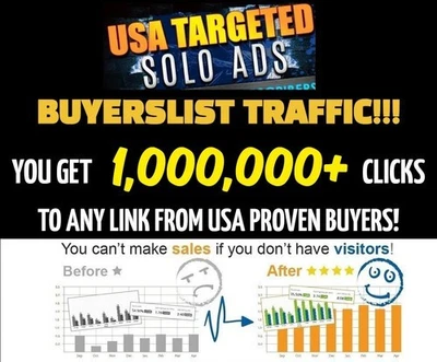 Website Traffic 1,000,000+ Views Targeted Webpage Traffic - SEO - ADSENSE SAFE - Image 1 of 2