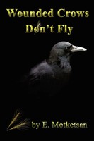 Wounded Crows Don't Fly E. Motketsan Taschenbuch Kartoniert / Broschiert 2006