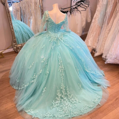 Aqua Green Quinnceanera Dresses Long Sleeve Appliques Backless Party Ball  Gowns | eBay