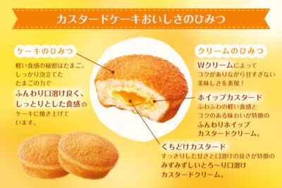 Lotte, Custard Cake, 6 pc in 1 box, Regular size, Soft Cake with