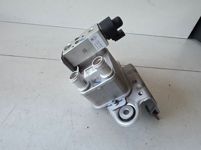 MG MG4 ev 2022 Wasserkühler 11059109L Elektro DVA55169