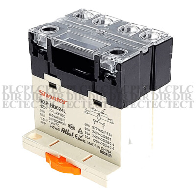 NEW Shenler RGF1BD024L High-power Relay